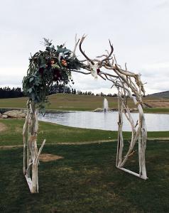 dressed-wedding-driftwood-Arch-wanaka