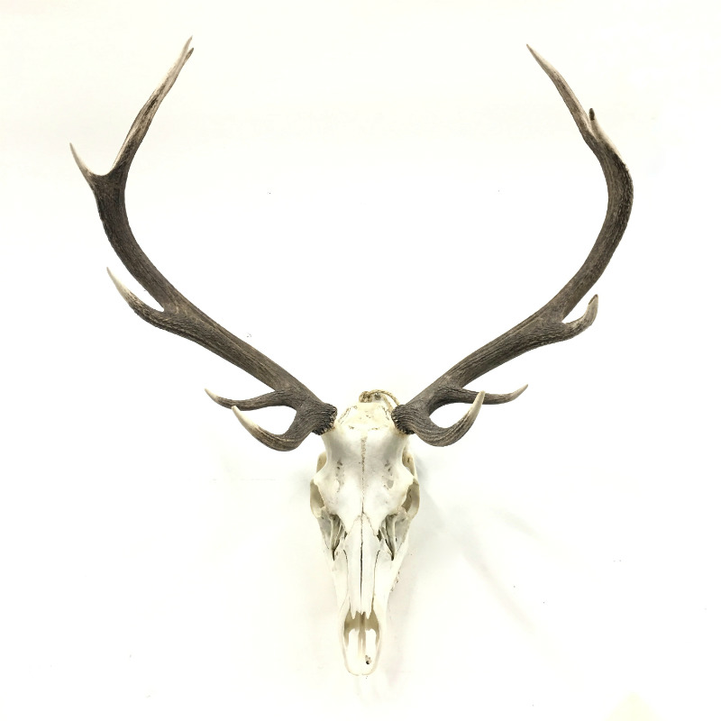 Stag Head - plain - Major and Minor - Queenstown Hire and Planning - Wanaka Party Hire